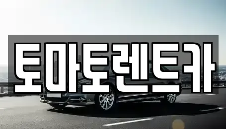 서울 송파구 신천동 렌트카 전문 토마토렌트카