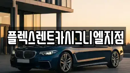 서울 송파구 신천동 렌트카 전문 플렉스렌트카시그니엘지점