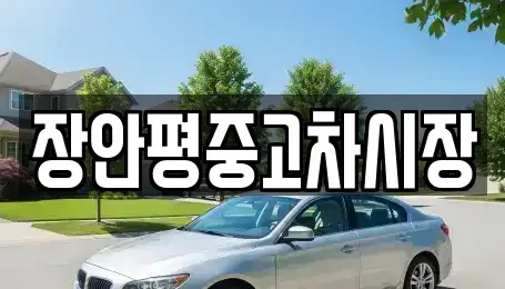 서울 송파구 신천동 중고차 전문 장안평중고차시장