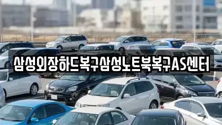 서울 송파구 신천동 중고차매입 전문 삼성외장하드복구삼성노트북복구AS센터