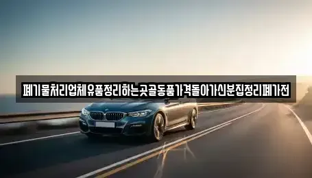 서울 송파구 신천동 중고차매입 전문 폐기물처리업체유품정리하는곳골동품가격돌아가신분집정리폐가전