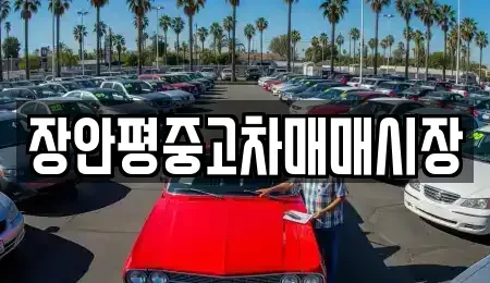 서울 영등포구 당산동 중고차매매 전문 장안평중고차매매시장