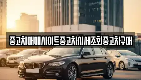서울 영등포구 당산동 중고차매매 전문 중고차매매사이트중고차시세조회중고차구매