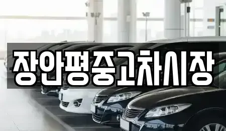 서울 용산구 용문동 중고차 전문 장안평중고차시장