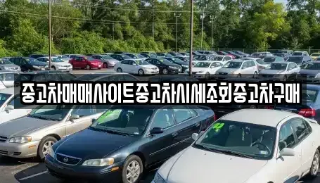 서울 용산구 용문동 중고차 전문 중고차매매사이트중고차시세조회중고차구매