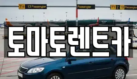 서울 용산구 이촌동 렌트카 전문 토마토렌트카