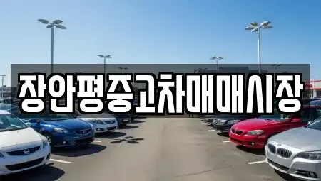 서울 용산구 이촌동 중고차 전문 장안평중고차매매시장