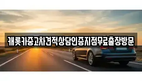 서울 용산구 이촌동 중고차 전문 캐롯카중고차견적상담인증지점무료출장방문