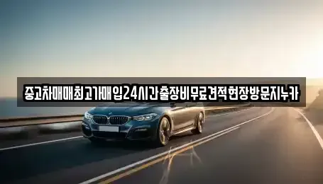 서울 용산구 이촌동 중고차매입 전문 중고차매매최고가매입24시간출장비무료견적현장방문지누카