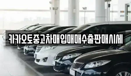 서울 용산구 청암동 중고차매입 전문 카카오토중고차매입매매수출판매시세