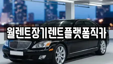 서울 종로구 구기동 장기렌트카 전문 월렌트장기렌트플랫폼직카