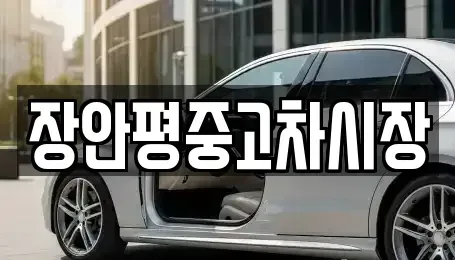 서울 종로구 구기동 중고차매매 전문 장안평중고차시장