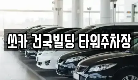 서울 종로구 낙원동 렌트카 전문 쏘카 건국빌딩 타워주차장