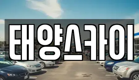 서울 종로구 낙원동 렌트카 전문 태양스카이
