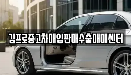 서울 종로구 낙원동 중고차매매,단기렌트카,중고차매입,장기렌트카,중고차,렌트카