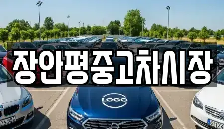 서울 종로구 낙원동 중고차매매 전문 장안평중고차시장