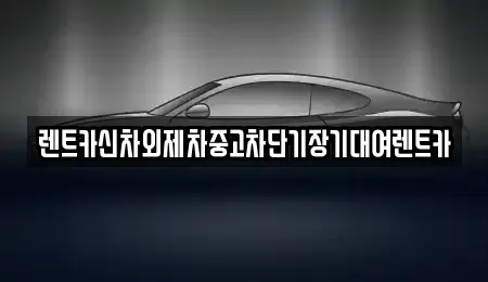 서울 종로구 사간동 단기렌트카 전문 렌트카신차외제차중고차단기장기대여렌트카