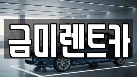 서울 종로구 사간동 렌트카 전문 금미렌트카