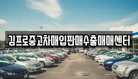 서울 종로구 사간동 중고차매입 전문 김프로중고차매입판매수출매매센터