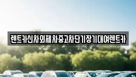 서울 중구 남학동 렌트카 전문 렌트카신차외제차중고차단기장기대여렌트카