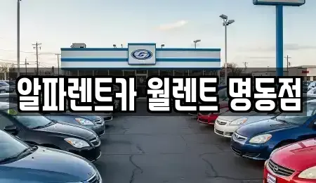 서울 중구 남학동 렌트카 전문 알파렌트카 월렌트 명동점