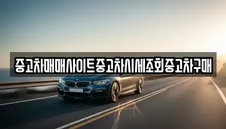 서울 중구 북창동 중고차매매 전문 중고차매매사이트중고차시세조회중고차구매