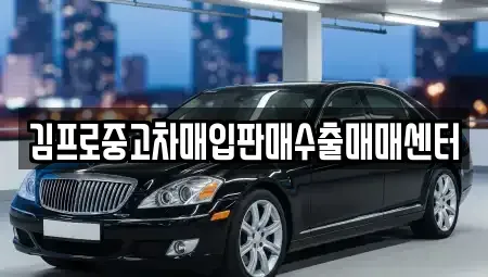 서울 중구 북창동 중고차매입 전문 김프로중고차매입판매수출매매센터