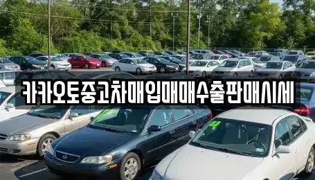 서울 중구 북창동 중고차매입 전문 카카오토중고차매입매매수출판매시세