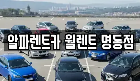 서울 중구 예관동 렌트카 전문 알파렌트카 월렌트 명동점