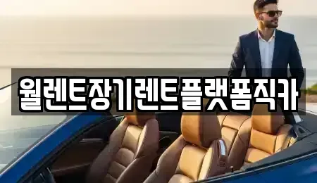 서울 중구 예관동 장기렌트카 전문 월렌트장기렌트플랫폼직카