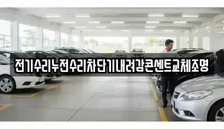 서울 중구 예관동 중고차 전문 전기수리누전수리차단기내려감콘센트교체조명