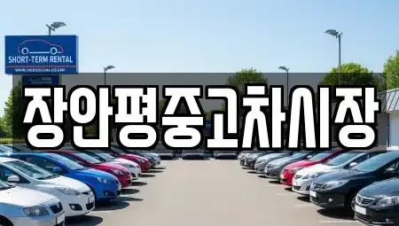 서울 중구 예관동 중고차매매 전문 장안평중고차시장