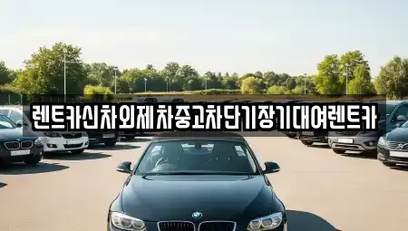서울 중구 의주로2가 중고차 전문 렌트카신차외제차중고차단기장기대여렌트카