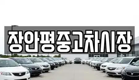 서울 중구 의주로2가 중고차 전문 장안평중고차시장