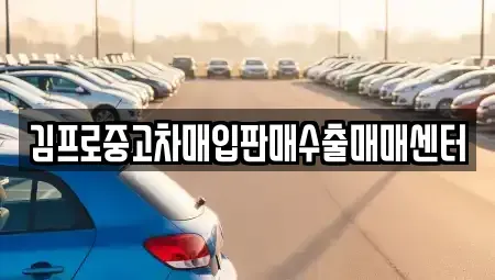 서울 중구 의주로2가 중고차매입 전문 김프로중고차매입판매수출매매센터