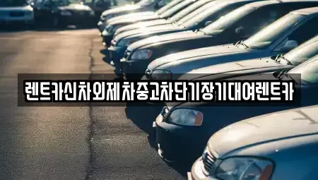 서울 중구 충무로1가 단기렌트카,중고차매입,중고차매매,중고차,렌트카,장기렌트카
