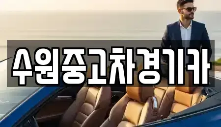 서울 중구 충무로1가 중고차매매 전문 수원중고차경기카