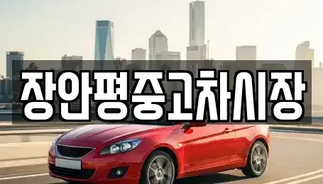 서울 중구 충무로1가 중고차매매 전문 장안평중고차시장