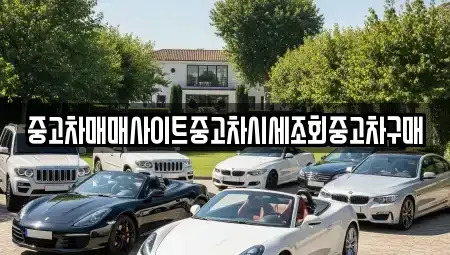 서울 중구 충무로1가 중고차매매 전문 중고차매매사이트중고차시세조회중고차구매