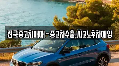 서울 중구 충무로1가 중고차매입 전문 전국중고차매매-중고차수출,사고노후차매입