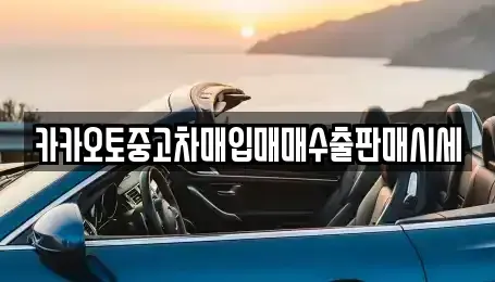 서울 중구 충무로1가 중고차매입 전문 카카오토중고차매입매매수출판매시세
