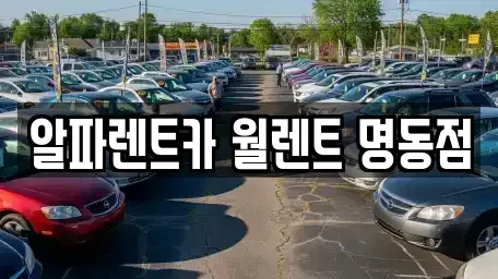 서울 중구 충무로3가 렌트카 전문 알파렌트카 월렌트 명동점