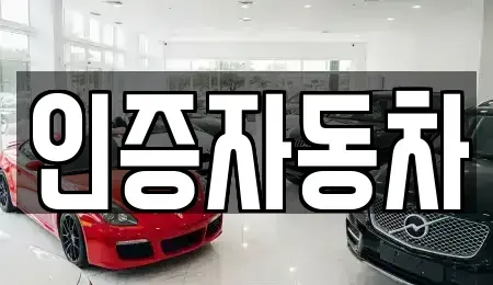 서울 중구 충무로3가 중고차매매 전문 인증자동차