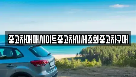 서울 중구 충무로3가 중고차매매,단기렌트카,중고차매입,장기렌트카,중고차,렌트카