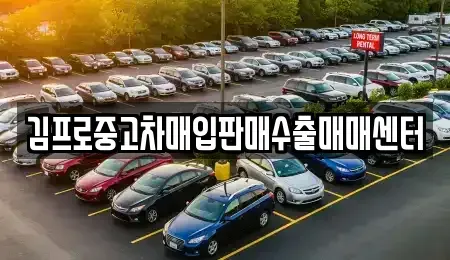 서울 중구 충무로3가 중고차매입 전문 김프로중고차매입판매수출매매센터