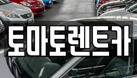 서울 중랑구 신내동 렌트카 전문 토마토렌트카