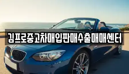서울 중랑구 신내동 중고차 전문 김프로중고차매입판매수출매매센터