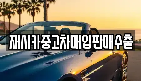 서울 중랑구 신내동 중고차 전문 재시카중고차매입판매수출