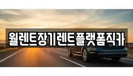 서울특별시 강북구 장기렌트카 전문 월렌트장기렌트플랫폼직카