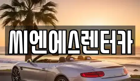 서울특별시 강서구 등촌동 단기렌트카 전문 씨엔에스렌터카